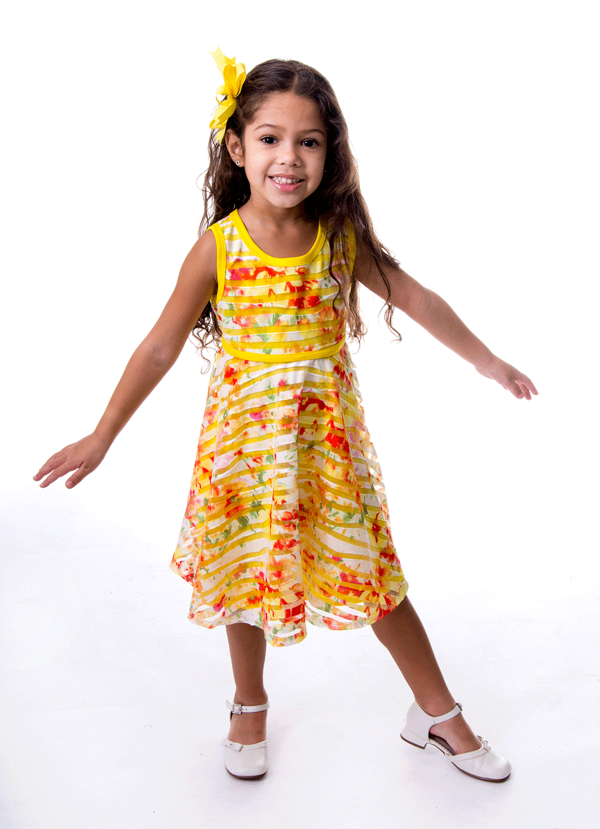 Floral Mesh Stripe Skater | Bailey Dress – Gerson & Gerson